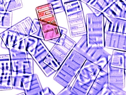 These microparticles created by MIT chemical engineers are 100 microns by 50 microns.