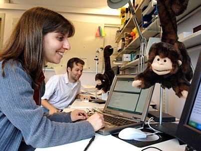 Animatronic monkeys keep graduate student Rachel Kern company in her office at the Media Lab on Friday, May 12. Colleague Matt Adcock, background, has another monkey with him. The monkeys are designed to aid communication between colleagues.