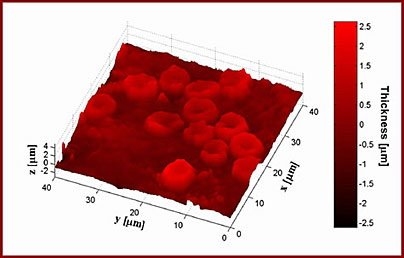 Researchers at MIT's Spectroscopy Laboratory created this image of red blood cells using a technique known as quantitative phase imaging, which allows scientists to view living cells.