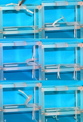 The series above illustrates the triple shape effect of a fastener consisting of a plate with two anchors prepared from CL(50)EG: Starting at 20 degrees Celsius, the device, in an easily-handled form, is put into a scaffold, right, which might be difficult to access (a). Increasing the temperature to 40Â C triggers unfolding and positioning into the cavity, left (figures b to d). Increasing the ...