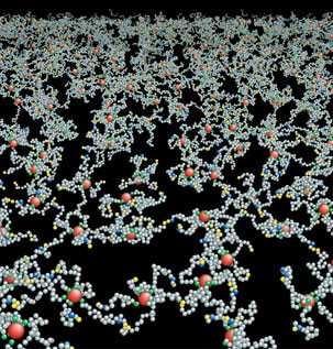 Simulation of the cytoskeleton attached to the inside of the cell membrane of a human red blood cell.  When the cell is subjected to shear stress, the bonds between actin molecules (large red beads) and spectrin molecules (small gray, green, yellow and blue beads) can break, allowing the cell to become more fluid-like.