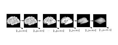 Spherical wavelet analysis divides a fine-grained computational representation of a cortical surface reconstructed from a magnetic resonance brain scan into lower and lower resolution representations. This allows researchers to analyze folds independently based on their size and frequency.