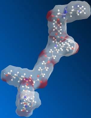 Structure of a piece of a biodegradable polymer used for gene delivery.