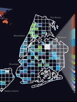 NYTE's World Within New York shows how different neighborhoods
  reach out to the rest of the world via the AT&amp;T telephone network. <a href="http://senseable2.mit.edu/nyte/images/hres/03%20nyte%20-%20world%20within%20new%20york.tif"><strong>Full-size
  image</strong></a>