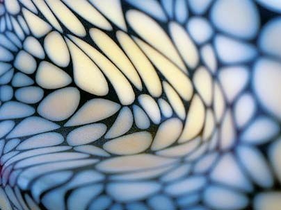 Detail of a work from Neri Oxman's 'Natural Artifice' exhibit at MoMA. Oxman's models are made of materials including plaster-resin composites, CNC (computer numerically controlled) milled wood laminations, flexible and rigid acrylic composites and 3-D printed nylon.