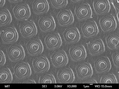 An array of microbattery electrodes, each only about four micrometers, or millionths of a meter, in diameter.