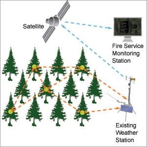 The sensor system produces enough electricity to allow the trees' temperature and humidity sensors to regularly and wirelessly transmit signals. Each signal hops from one sensor to another, until it reaches an existing weather station that beams the data by satellite to a forestry command center.