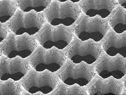 Scanning electron micrograph of an accordion-like honeycomb scaffold for cardiac tissue engineering. Original magnification =100 X
