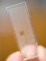glass slide