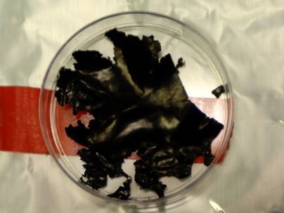 A sample of the new battery material that could allow quick charging of portable devices.