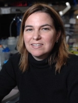 Angela Belcher