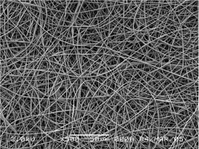 A scanning electron micrograph of an electrospun nonwoven mat of poly(styrene-co-dimethylsiloxane) fibers, showing the porous, nonwoven structure of the mat.