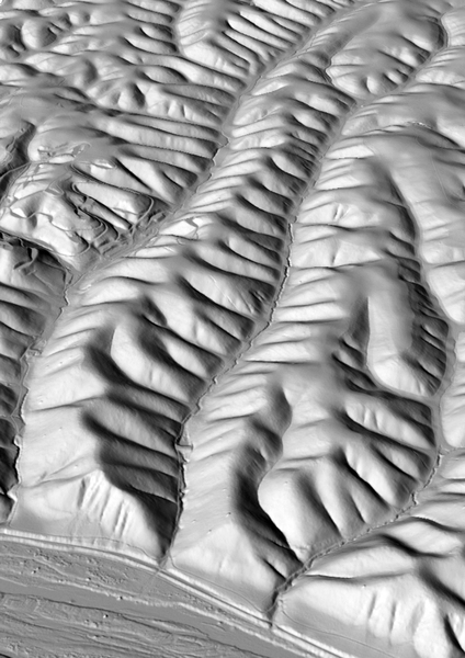 Perspective view of Gabilan Mesa, California, showing evenly spaced ridges and valleys. The scene, which is approximately 2 km wide, is a shaded relief map based on laser altimetry from the National Center for Airborne Laser Mapping (NCALM).