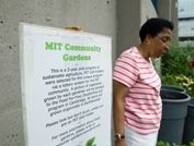 Library Assistant Carol Frederick tends to her personal box near the Albany Street garage
