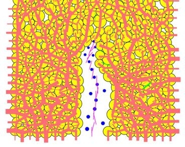 This image at left shows underground methane gas as it begins to invade fine-grain sediment (shown in yellow) by creating a fracture. In the image at right, the blue circles represent pore spaces where the gas has invaded. 