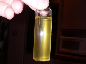 A vial of the MIT students' biodiesel.