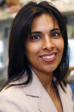 Sangeeta Bhatia