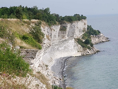 View of the cliff at Kulstirenden, Stevns Klint, Denmark.