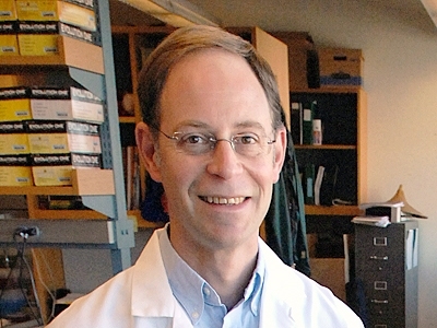 David Schauer