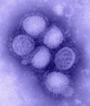 The H1N1 "swine" flu.