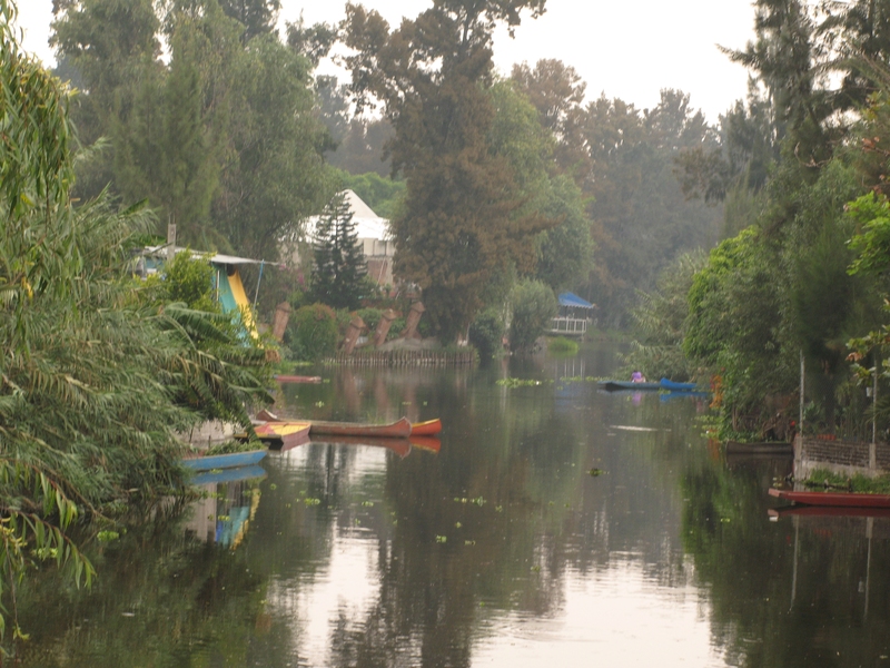 Water contamination limits agricultural output in many peri-urban agricultural areas.