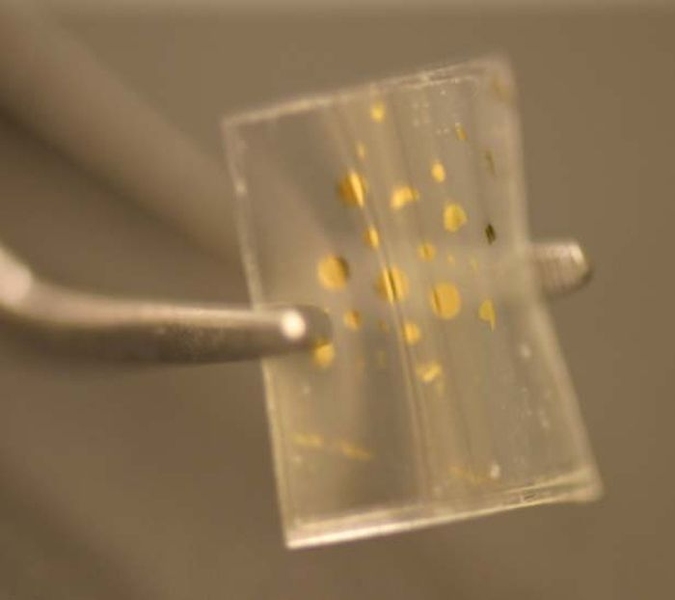 Unlike existing micromachines, the researchers' gold films are flexible, so they could be used to coat irregular surfaces.