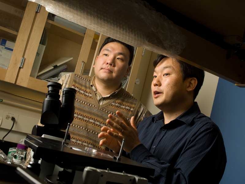 Jongyoon Han, right, and Sung Jae Kim explain their new process for water desalination. In foreground is a microscope used to observe the prototype unit in action.