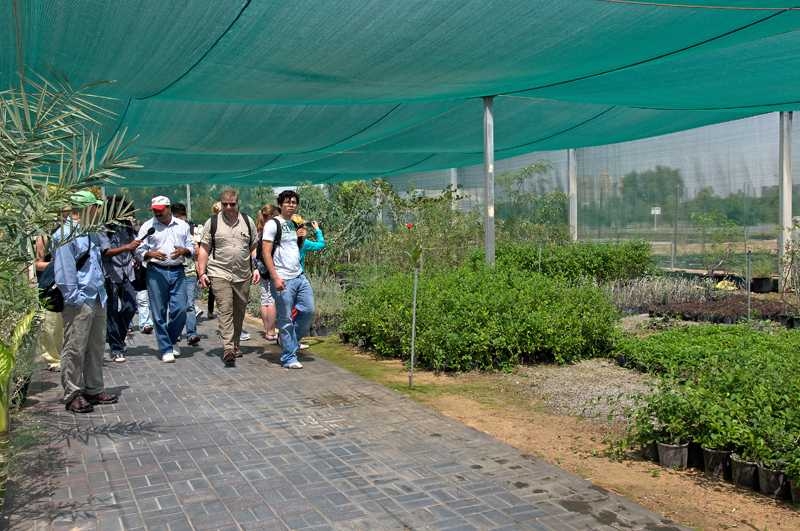 The group toured greenhouses where initial experiments are growing plants under varying conditions of salinity, watering frequency and fertilizer. Conditions that prove beneficial in the greenhouse are then further tested in a protected outdoor area over a longer term.