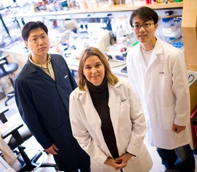 Professor Angela Belcher and graduate students Yoon Sung Nam (blue lab coat) and Heechul Park (white lab coat).
