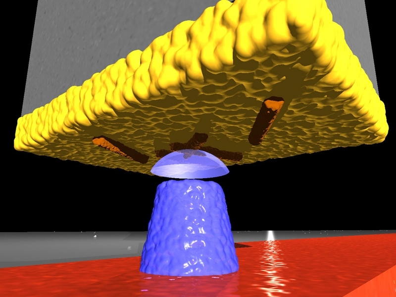 In this diagram, viruses (colored orange) cling to the gold surface (yellow) at the end of a silicon cantilever. A magnetic tip (blue) creates a magnetic field that interacts with the viruses to create an image, using magnetic force resonance microscopy.