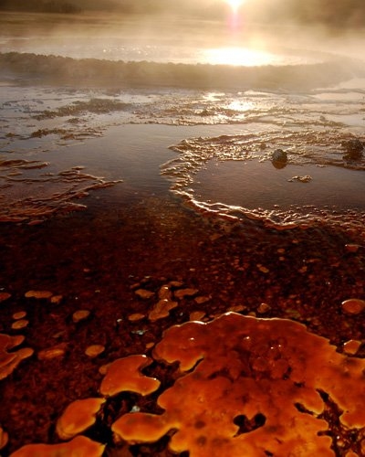 More microbial mats in Yellowstone
