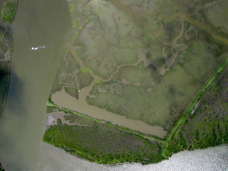 Balloon images of coastal wetlands areas such as this one in Louisiana could become useful for later estimates of environmental damage if the area becomes contaminated with oil. 
