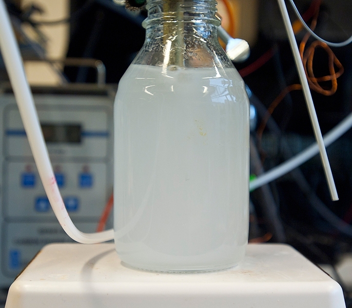Carbon dioxide combines with the mineral ions to form solid carbonates.