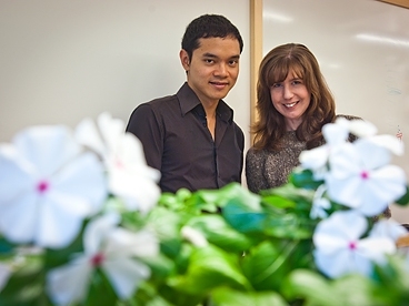 MIT associate professor Sarah O’Connor, right, and graduate student Weerawat Runguphan have engineered periwinkle root cells that can produce variations of compounds that the plant normally synthesizes.