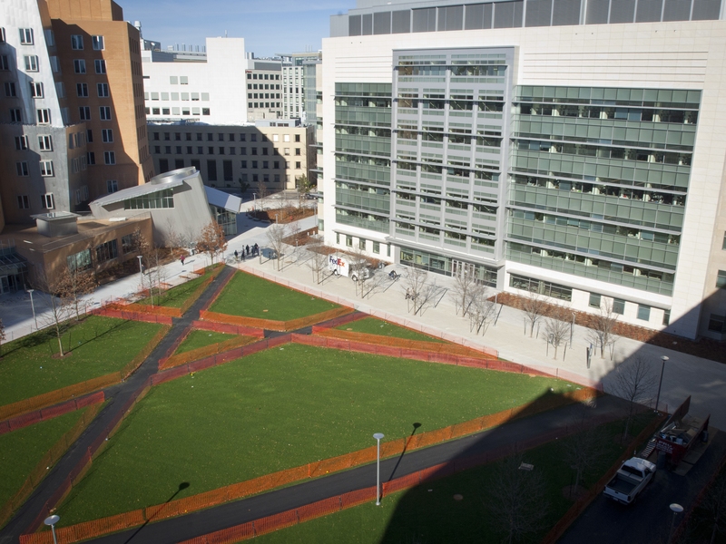 Located on the former site of a parking lot, the construction of the new building, also known as Building 76, created new outdoor space that is informally known as the North Courtyard.