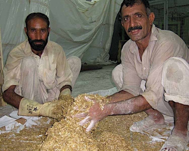 Ghonsla, an affordable insulation made from agricultural and urban waste.