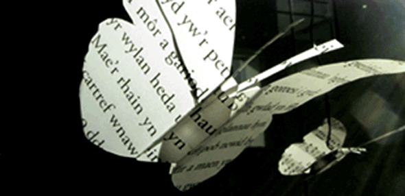 'Bibliodoptera' by Peter Torpey and Elena Jessop, graduate students in media arts and sciences; in the corridor along the Hayden Library courtyard.