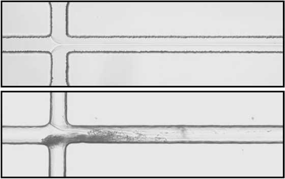 A comparison of the new 3-D system, top, and an older 2-D system, bottom, shows that nanoparticles in the 2-D system tend to clump together, eventually causing the device to fail.