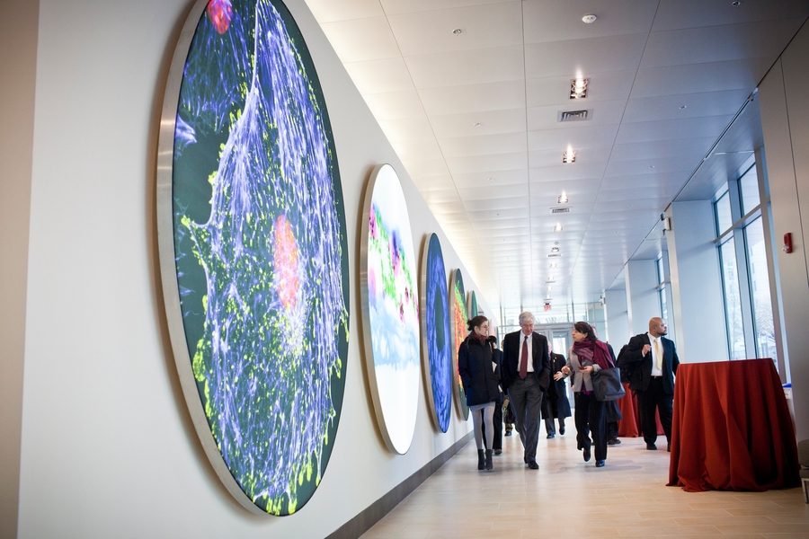 The Koch Institute public galleries — running along the Main Street side of the building — display microscopy images as art.
