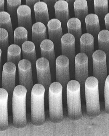 These posts, made of carbon nanotubes, can trap cancer cells and other tiny objects as they flow through a microfluidic device. Each post is 30 microns in diameter.