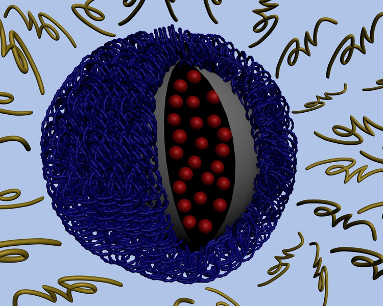 The outer layer of this nanoparticle (in yellow) falls off in an acidic environment.