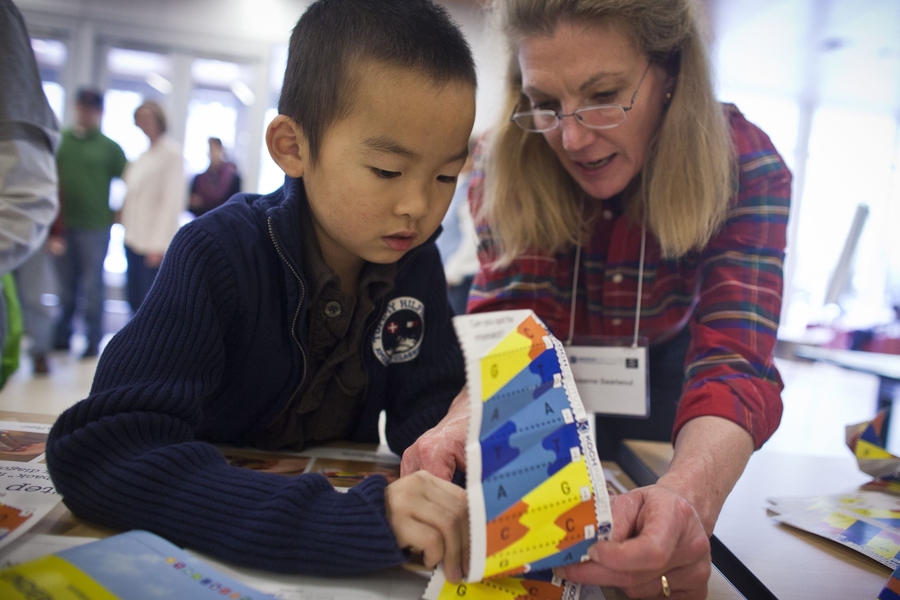 Young and old alike helped make DNA origami in the lobby of the David H. Koch Institute for Integrative Cancer Research.