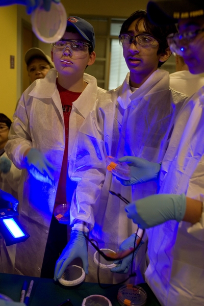 Young visitors look at florescent bacteria in a microbiology demonstration by Stephen Goldfless, a graduate student in the Department of Biological Engineering.