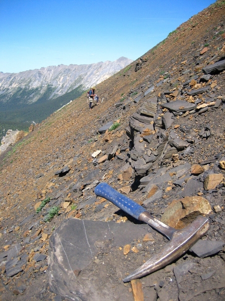Francis Macdonald pauses to collect a rock on the steep scree at the bottom of the section of rocks that contain the microfossils. Phoebe Cohen's rock hammer sits in the foreground. 