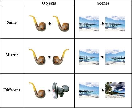 The chart shows the stimuli used to probe the brain¹s response to mirror images for both objects and scenes. Surprisingly, one scene-processing brain region treated mirror images as if they were the same scene.