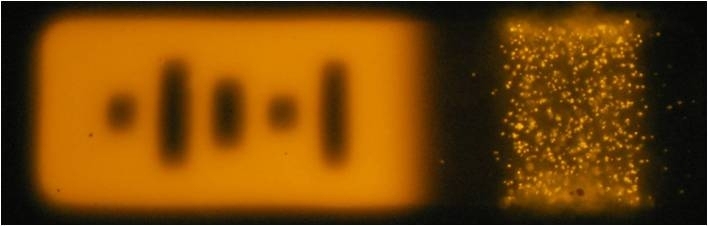In this image, the microRNA fluoresces after binding to the particle. At left, a 'bar code' indicates which type of microRNA the particle is detecting.