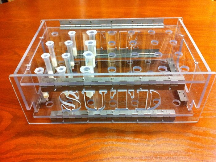 Shaohui used his opportunity in the MIT Hobby Shop to design and construct a portable box that carries a water filtration system. 