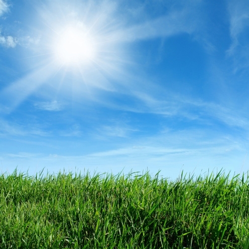 A grassy field