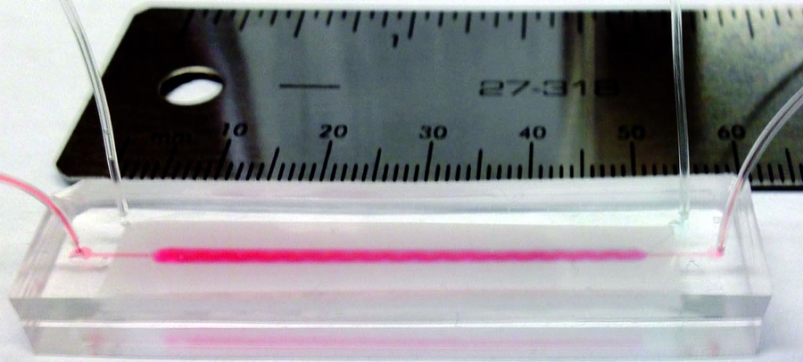 This microfluidic device can rapidly isolate target cells using a nanoporous membrane sandwiched between two channels.
