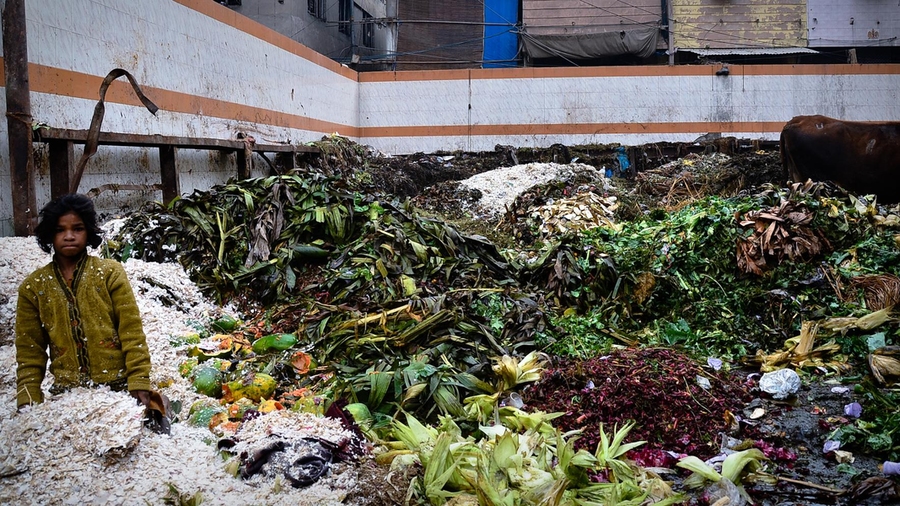 A girl dumps spoiled produce and inedible food clippings in a waste storage area at Azadpur market outside of Delhi. Millions of tons of food go to waste in India each year due to spoilage and other problems.